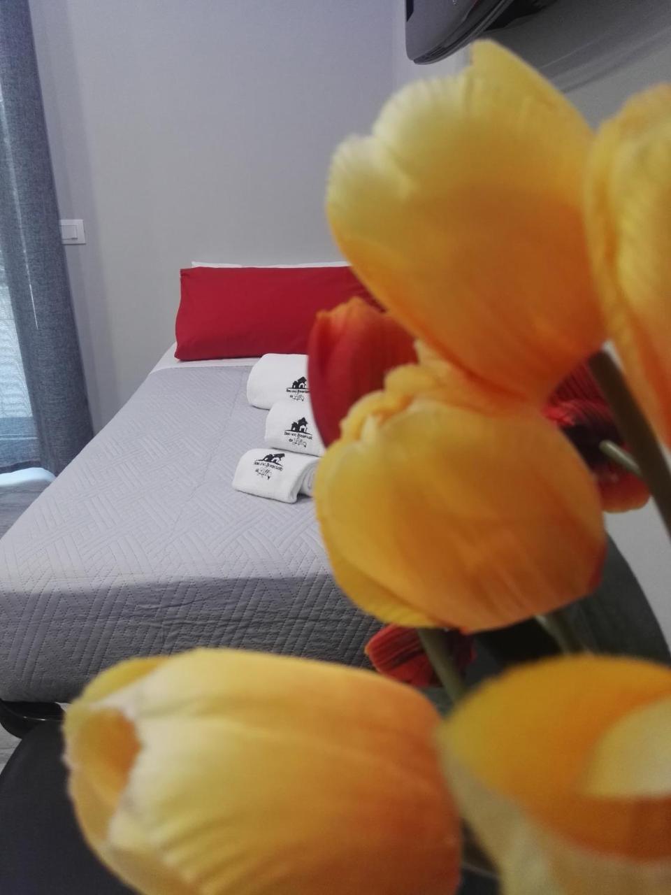 B&B Da Lillo Frosinone Eksteriør billede